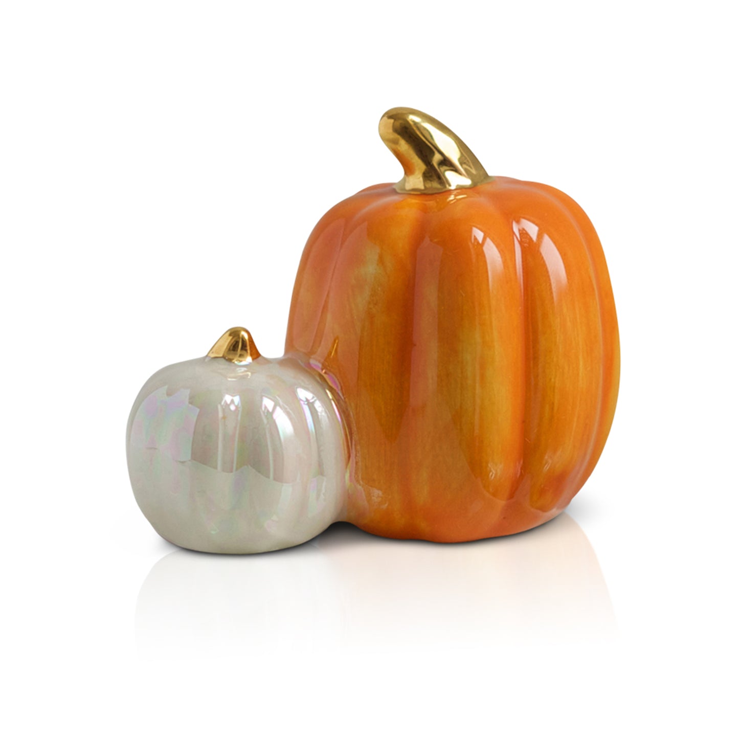 NF Mini Pumpkin Spice - Fall Pumpkins