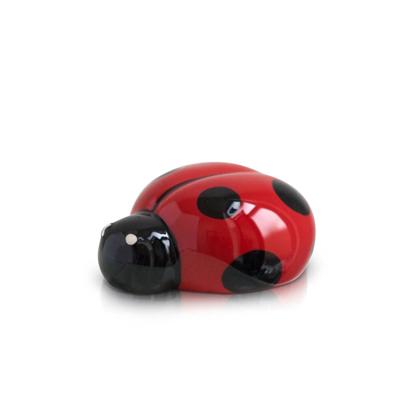 NF Mini Lil' Lady Bug