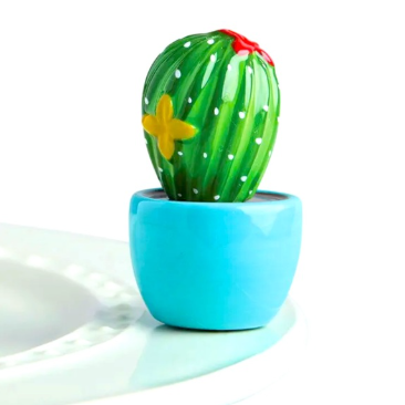 NF Mini Can't Touch This - Succulant