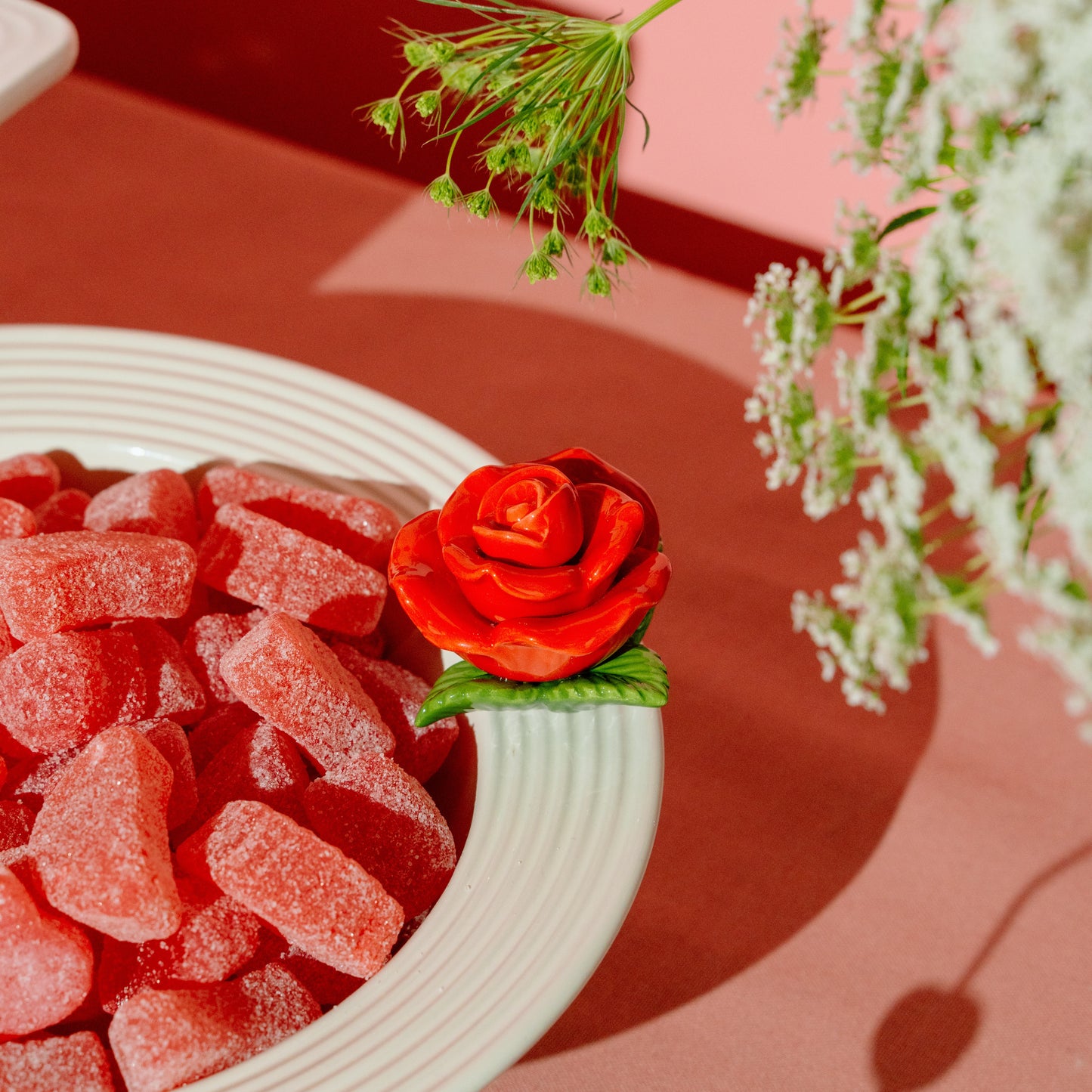 NF Mini Roses Are Red - Rose