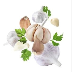 Garlic Cilantro Fused Olive Oil