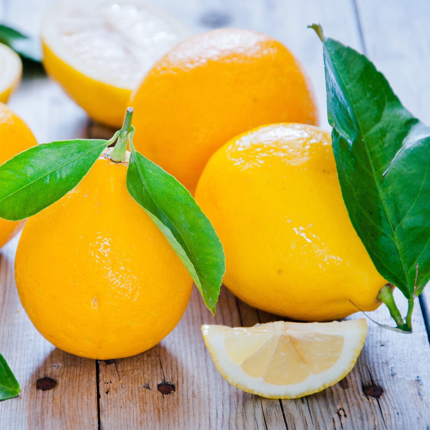 Lemon White Balsamic