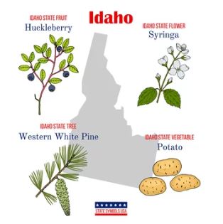 Idaho & Huckleberry Products