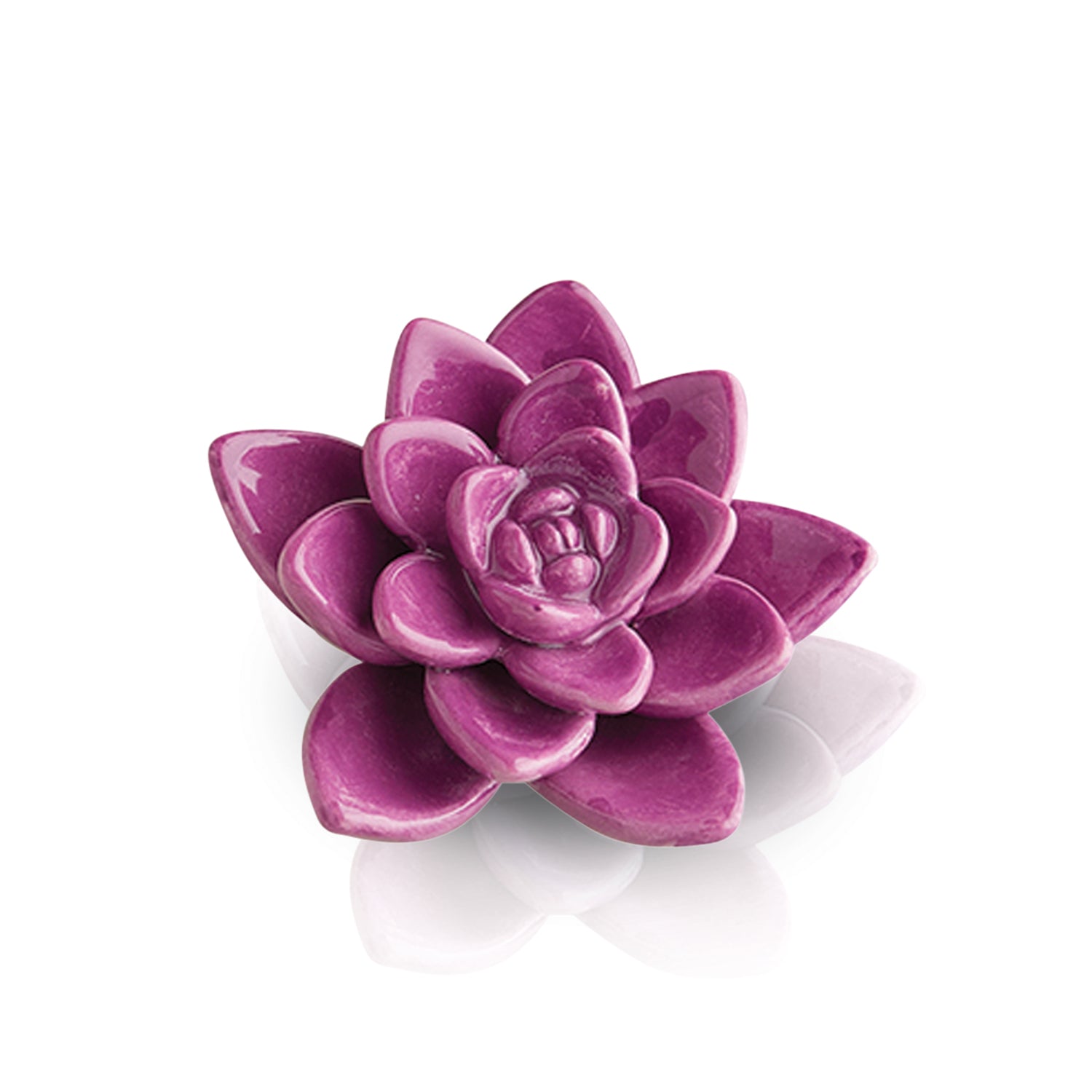 NF Mini Get Growing - Succulent Purple