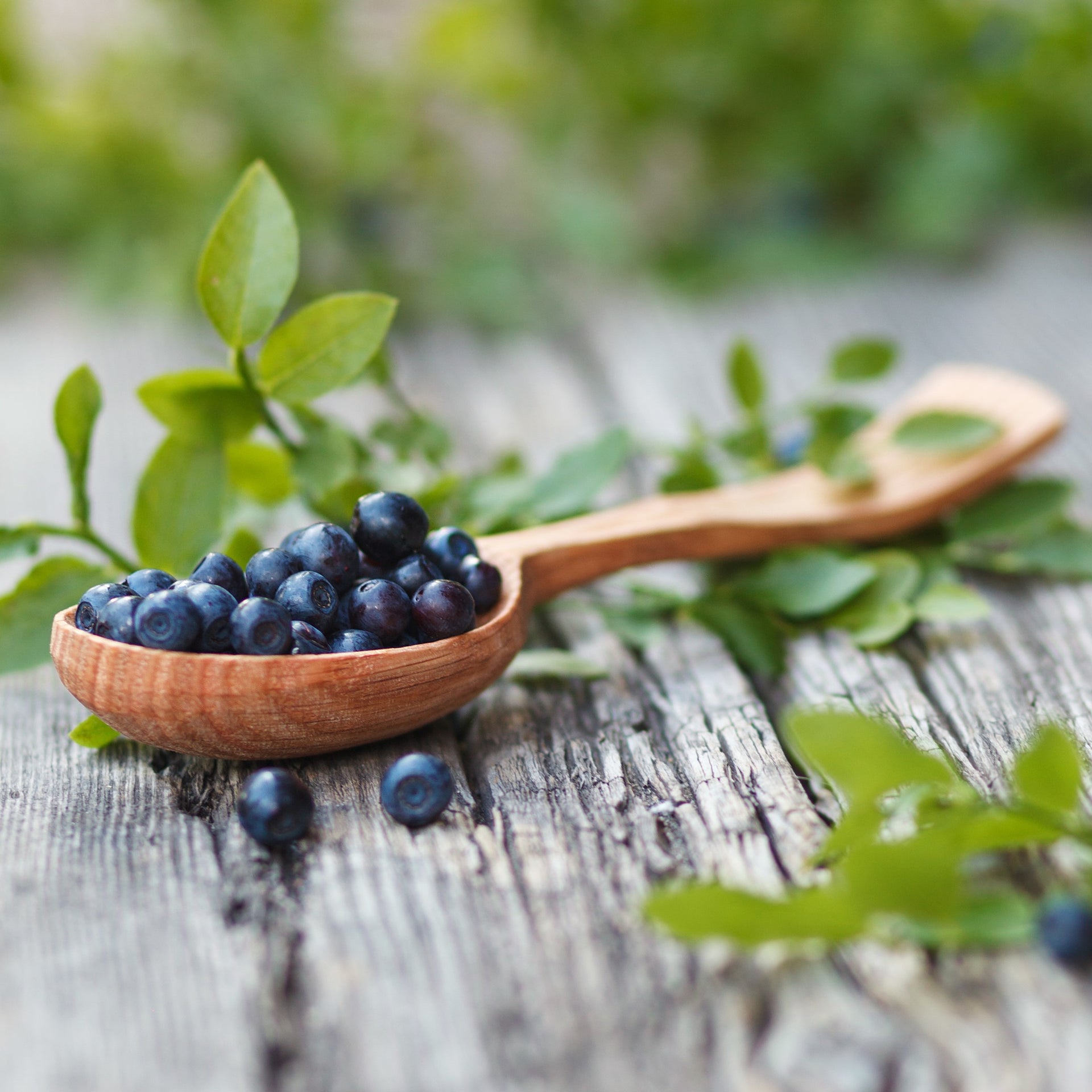 Huckleberry Dark Balsamic – The Milled Olive